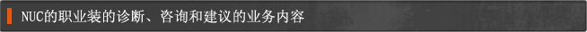 NUC的职业装的诊断、咨询和建议的业务内容